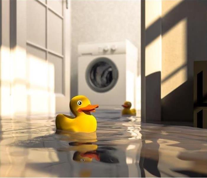 Yellow rubber duck in a flooded home
